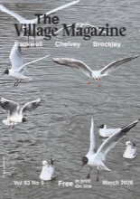 March 2026 cover, featuring a group of birds landing on water